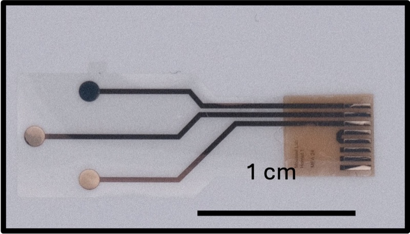 Electrochemical neurotransmitter sensor, cyclic-voltammetry trace