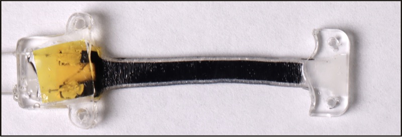 Mechanical strain sensor, two sizes shown with 1 cm scale